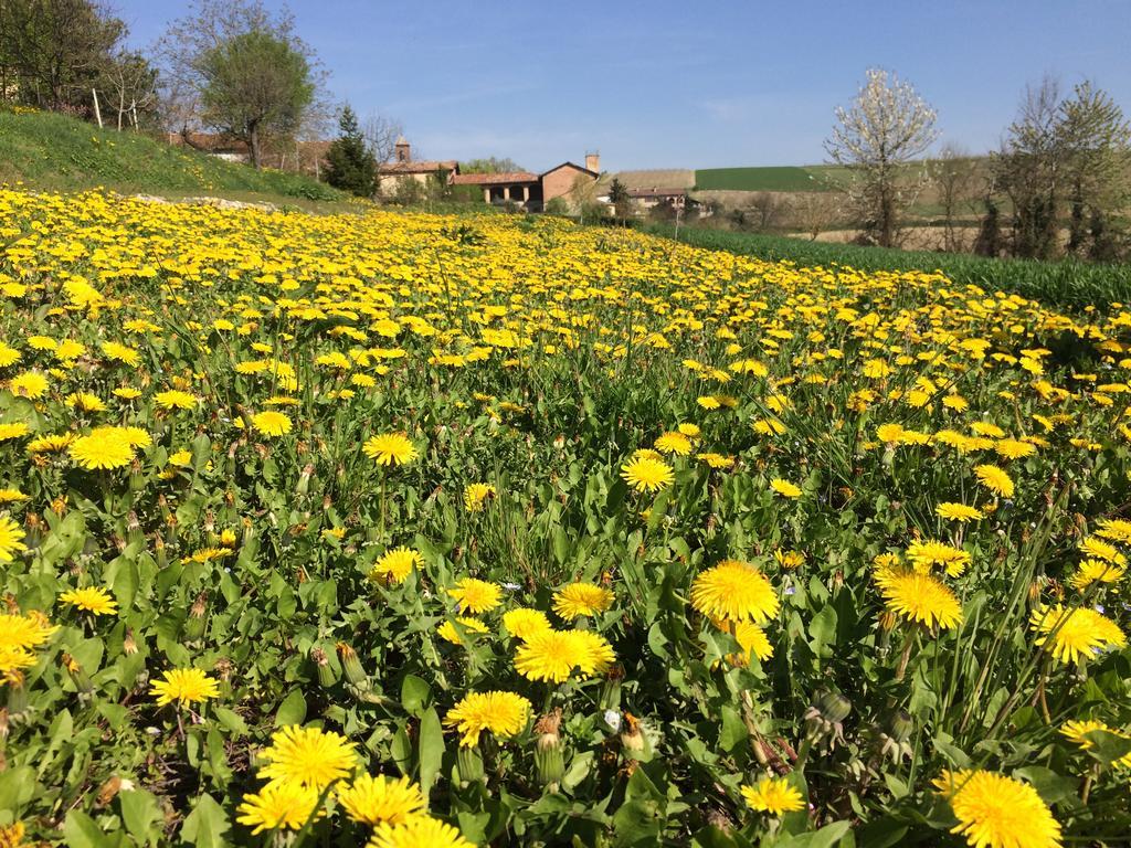 Cascina Vicentini Guest House Alfiano Natta Exterior photo