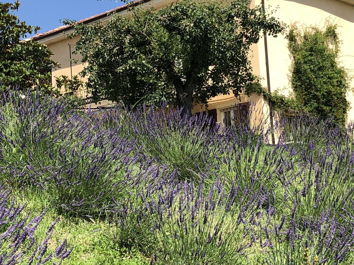 Cascina Vicentini Guest House Alfiano Natta Exterior photo